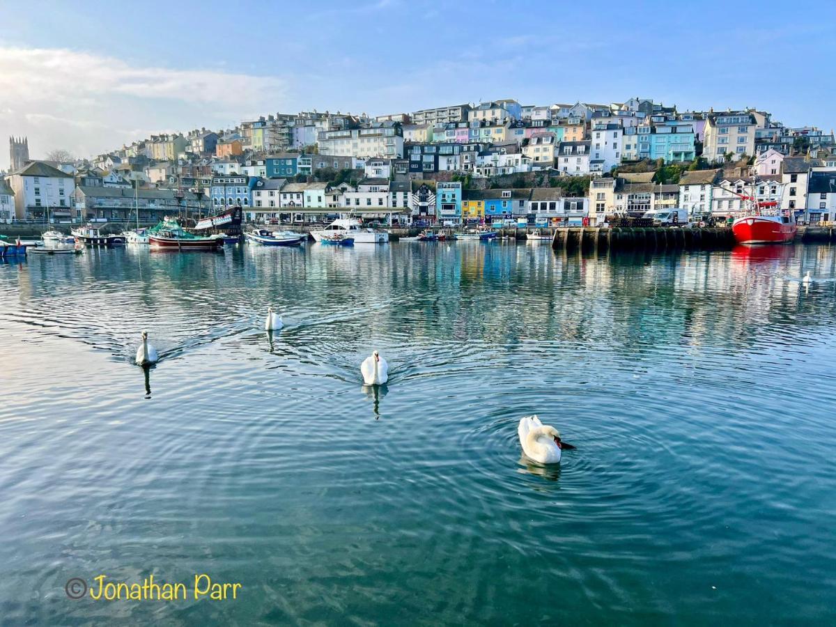 Seaspot Is A 1 Bed Annex Ground Floor Apartment At Stunning Broadsands Beach Nr Brixham! 彻斯顿费斯 外观 照片