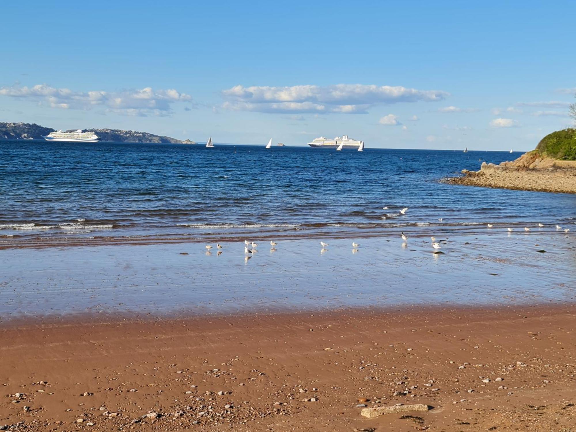 Seaspot Is A 1 Bed Annex Ground Floor Apartment At Stunning Broadsands Beach Nr Brixham! 彻斯顿费斯 外观 照片